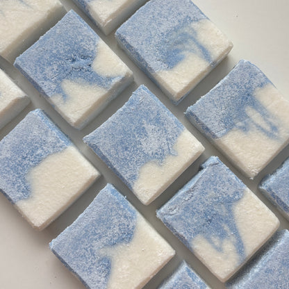 Coastal Bloom Salt Soap Bar