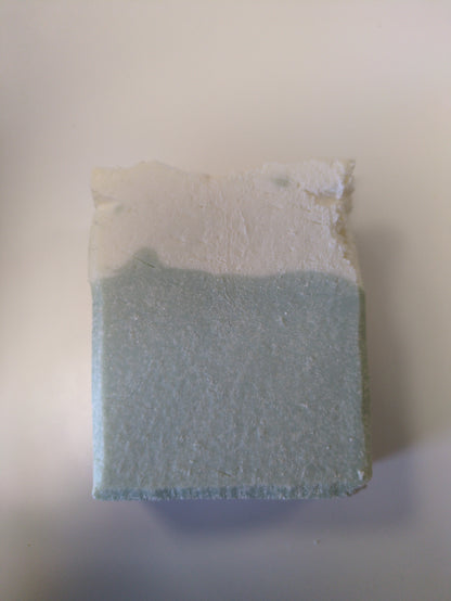 SALE Fresh Mint & Rhubarb Salt Soap
